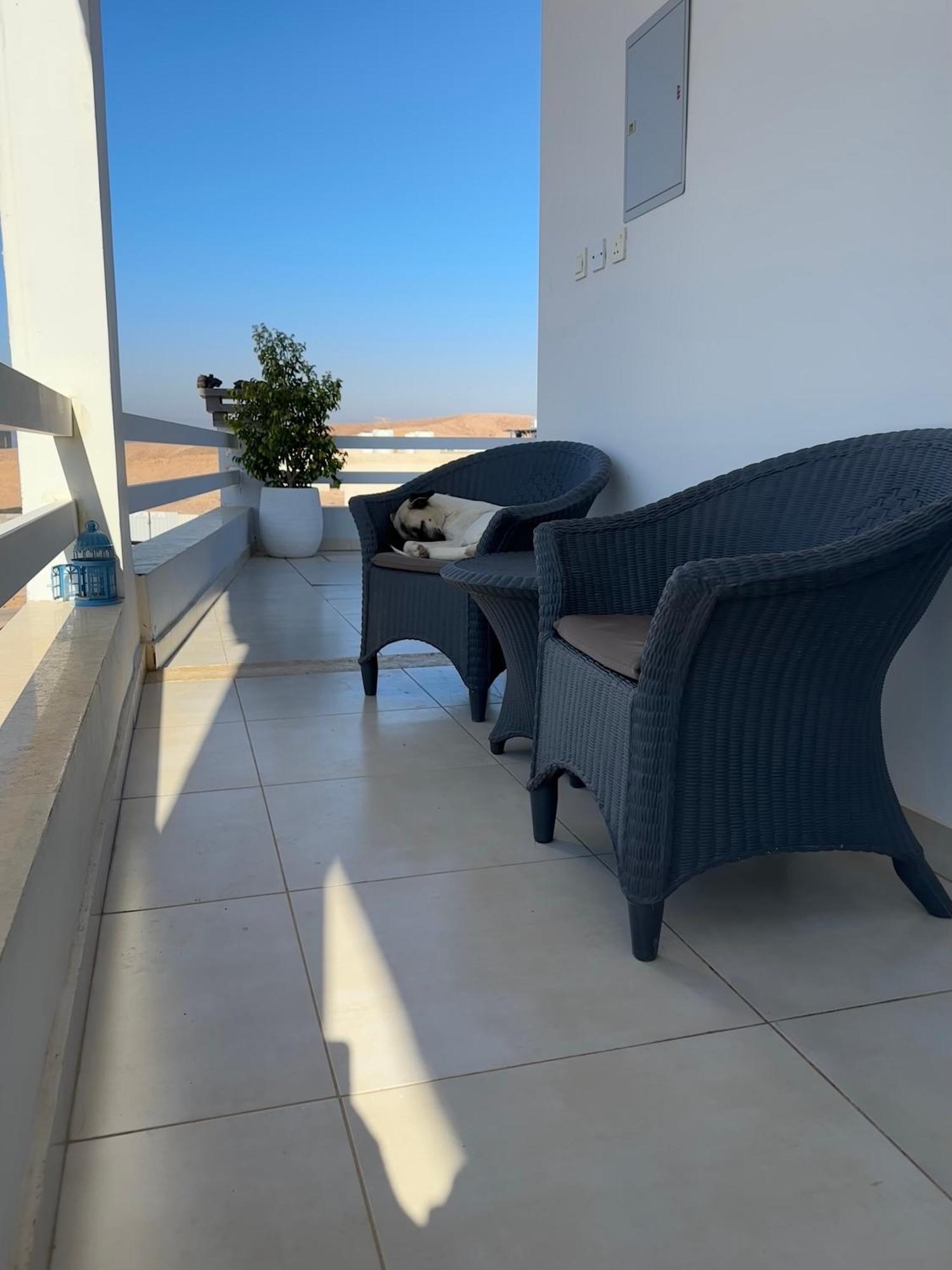 Aqaba Pro Divers Exterior foto