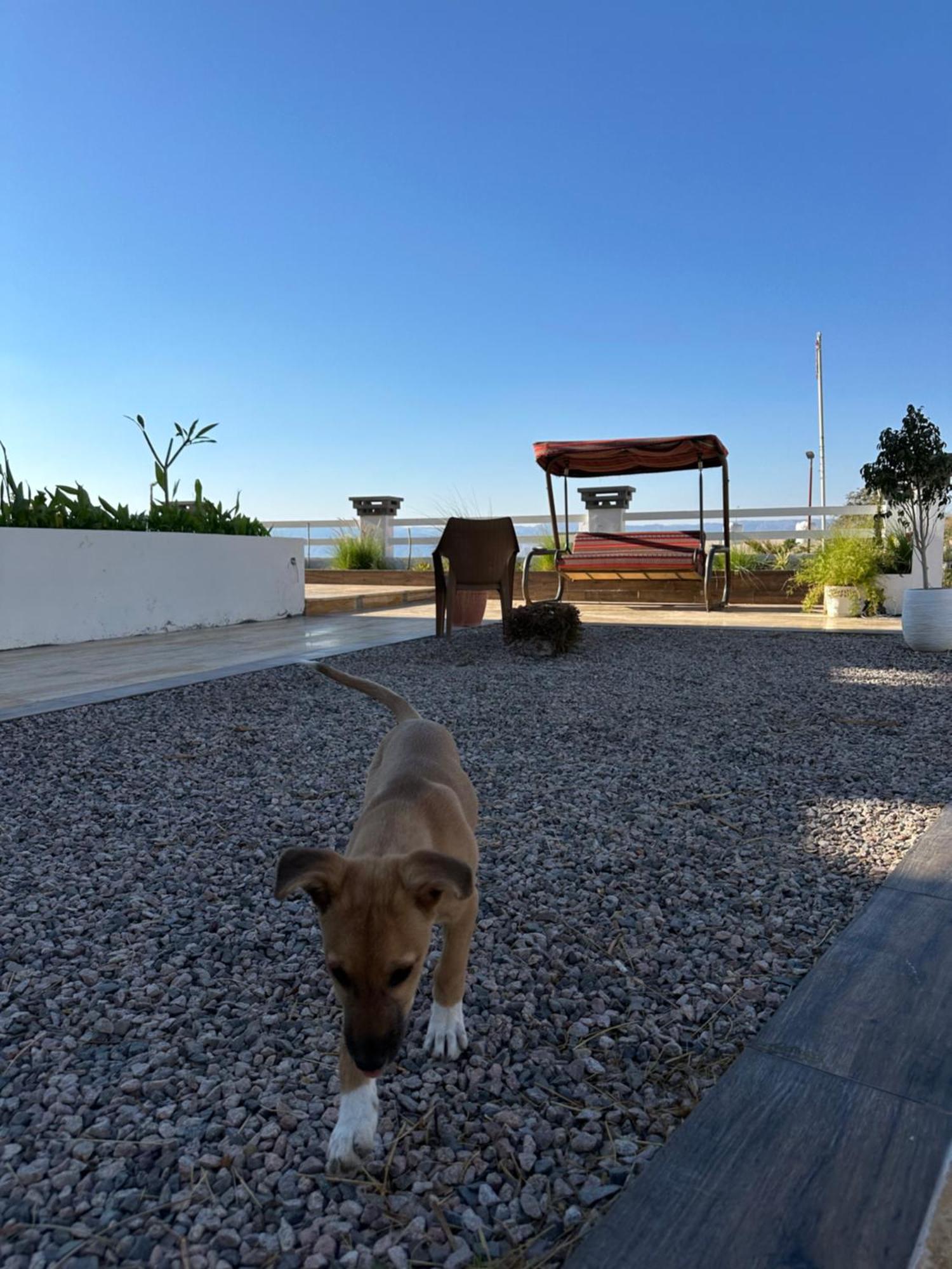 Aqaba Pro Divers Exterior foto